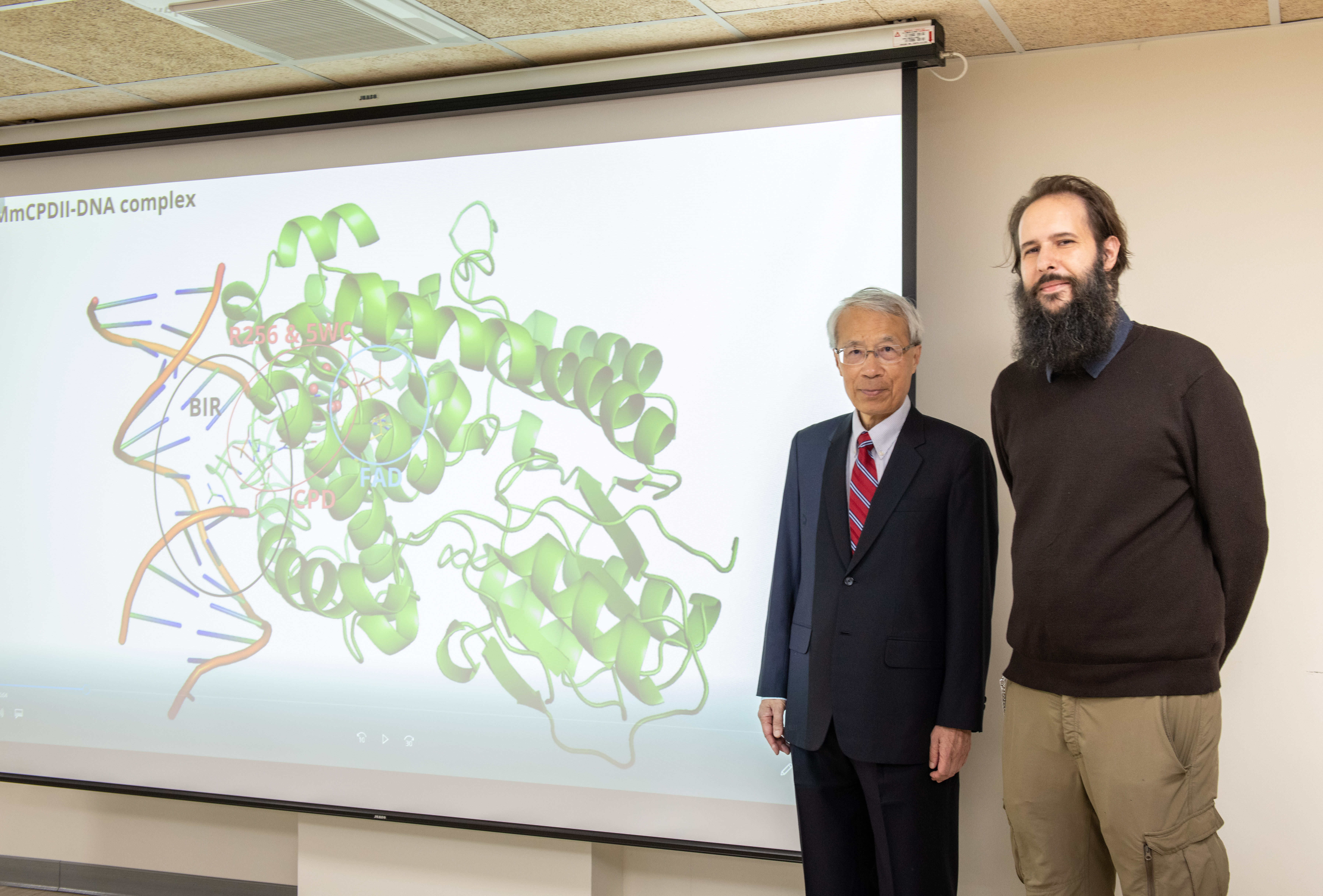 【Press Releases】Watching the DNA repair process by a photolyase at atomic resolution